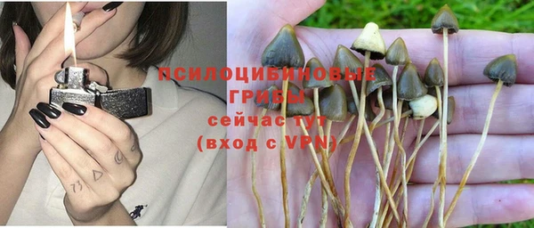 мдпв Арсеньев