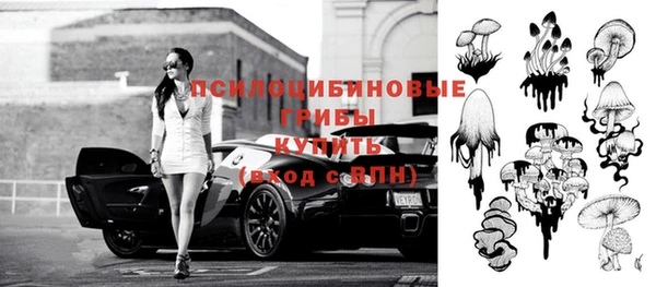apvp Балабаново