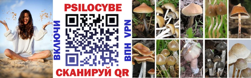 что такое   Белая Калитва  ОМГ ОМГ вход  Псилоцибиновые грибы прущие грибы 